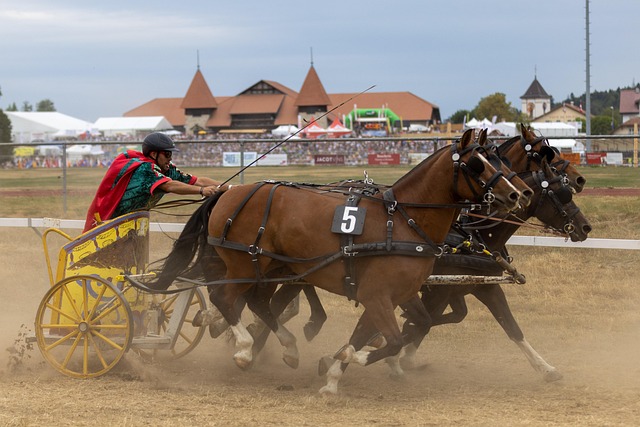 年的指導工 年的指導工