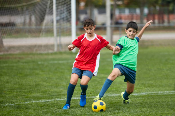 从强势种子 从强势种子